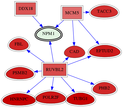 wolf-screen-ratio-mammosphere-adherent-reg-snw-4869 subnetwork