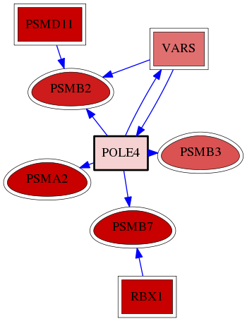 wolf-screen-ratio-mammosphere-adherent-reg-snw-56655 subnetwork