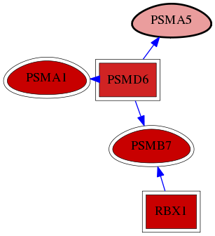 wolf-screen-ratio-mammosphere-adherent-reg-snw-5686 subnetwork