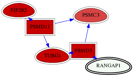 wolf-screen-ratio-mammosphere-adherent-reg-snw-5905 subnetwork