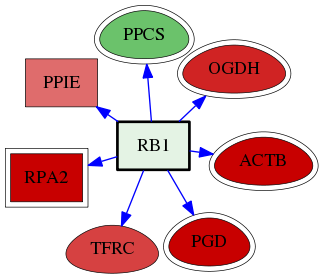 wolf-screen-ratio-mammosphere-adherent-reg-snw-5925 subnetwork