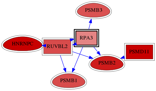 wolf-screen-ratio-mammosphere-adherent-reg-snw-6119 subnetwork