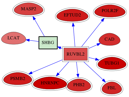 wolf-screen-ratio-mammosphere-adherent-reg-snw-6462 subnetwork