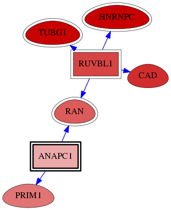 wolf-screen-ratio-mammosphere-adherent-reg-snw-64682 subnetwork