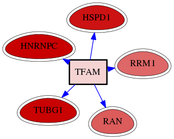 wolf-screen-ratio-mammosphere-adherent-reg-snw-7019 subnetwork