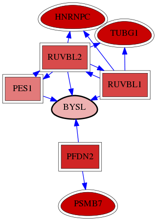 wolf-screen-ratio-mammosphere-adherent-reg-snw-705 subnetwork