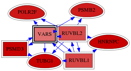 wolf-screen-ratio-mammosphere-adherent-reg-snw-7407 subnetwork