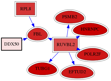 wolf-screen-ratio-mammosphere-adherent-reg-snw-79009 subnetwork