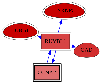 wolf-screen-ratio-mammosphere-adherent-reg-snw-890 subnetwork