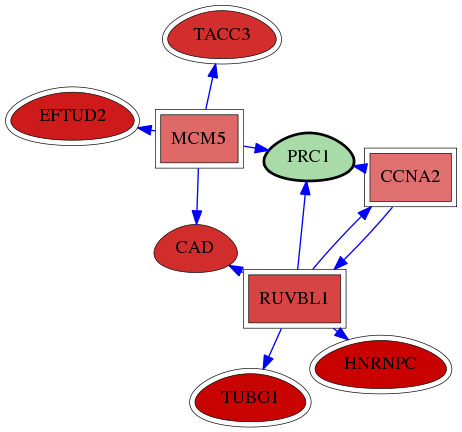 wolf-screen-ratio-mammosphere-adherent-reg-snw-9055 subnetwork