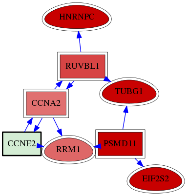 wolf-screen-ratio-mammosphere-adherent-reg-snw-9134 subnetwork