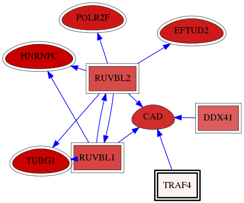 wolf-screen-ratio-mammosphere-adherent-reg-snw-9618 subnetwork