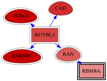 wolf-screen-ratio-mammosphere-adherent-reg-snw-9939 subnetwork